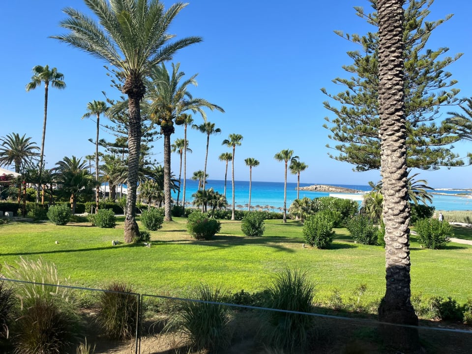 Gartenanlage Hotel Nissi Beach Resort
