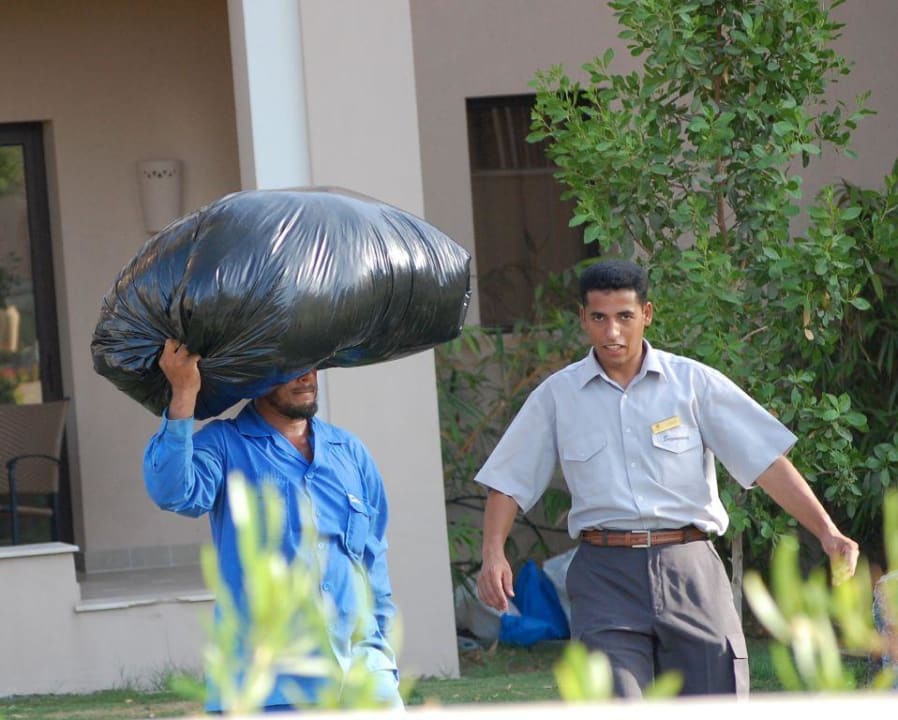 viele kleine Helferlein Miramar Al Aqah Beach Resort