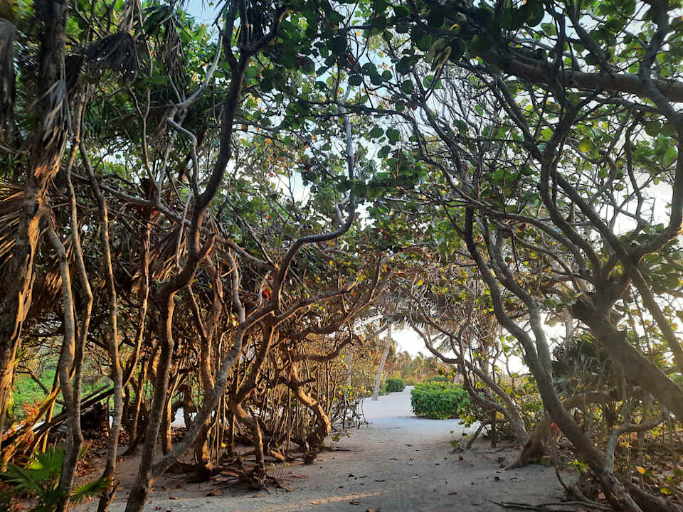 Gartenanlage Akumal Bay Beach & Wellness Resort