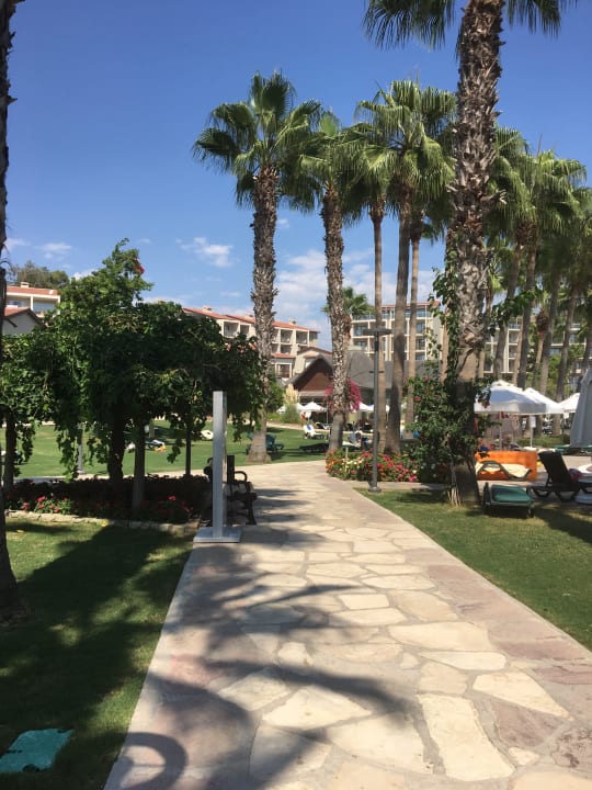 Gartenanlage Arum Barut Collection