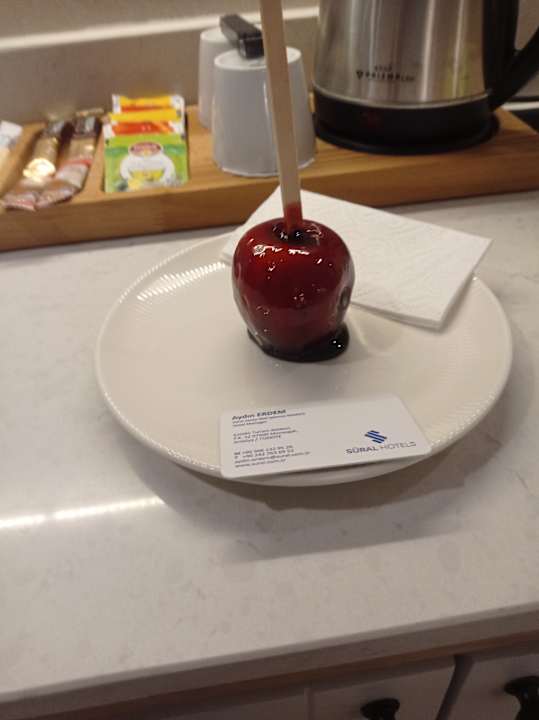 Zimmer Süral Saray Hotel