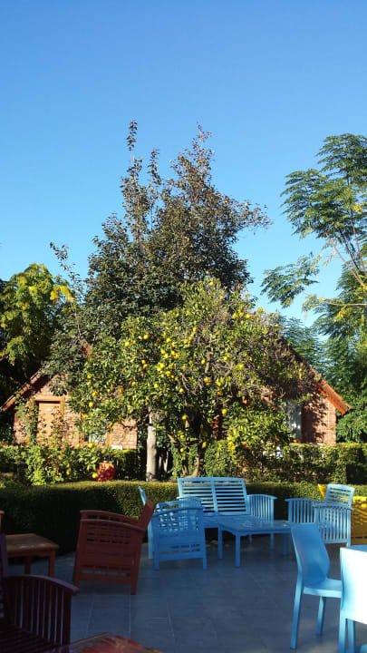 Garten Can Garden Beach