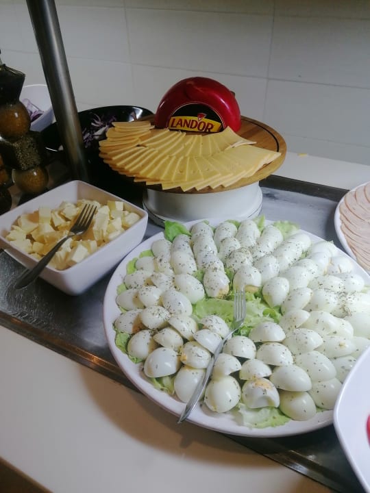 Gastro Hotel Royal Nozha