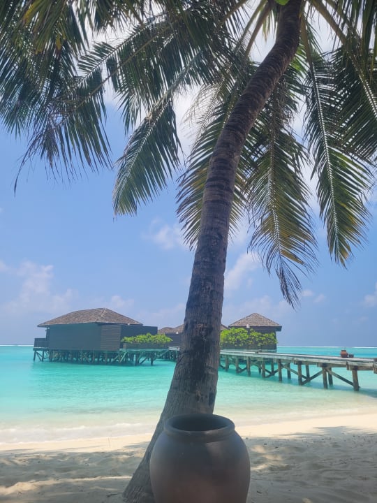 Strand Meeru Maldives Resort Island