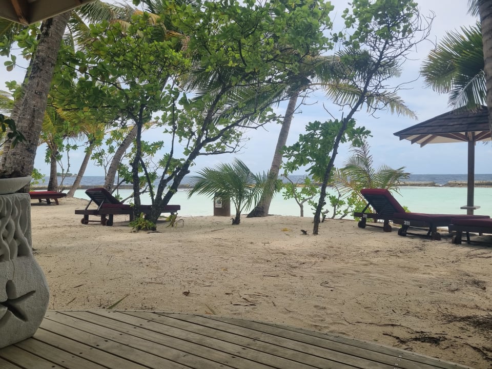 Ausblick Ellaidhoo Maldives by Cinnamon