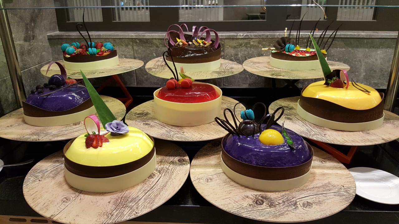 Gastro Seashell Vega