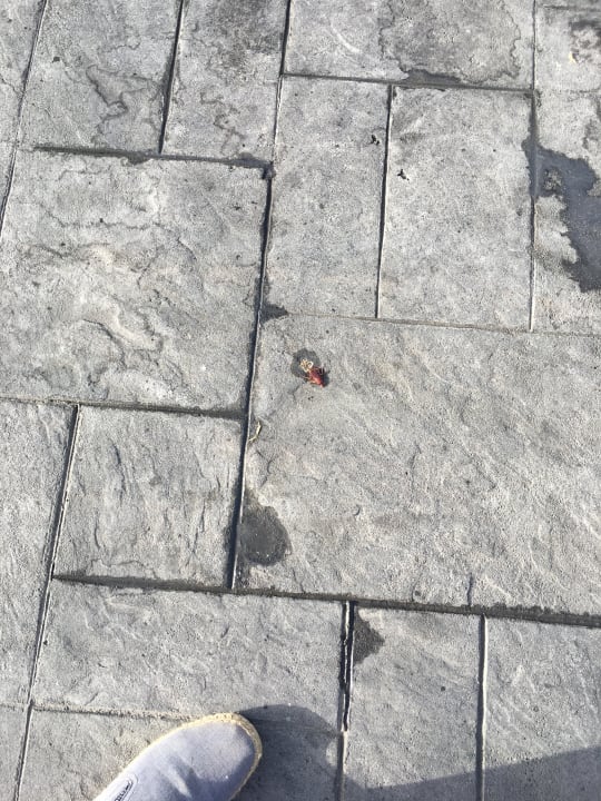 Sonstiges Apollon Hotel