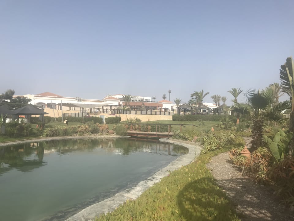 Gartenanlage ROBINSON AGADIR