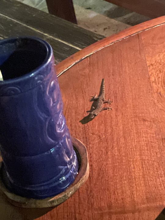 Gastro Summer Island Maldives