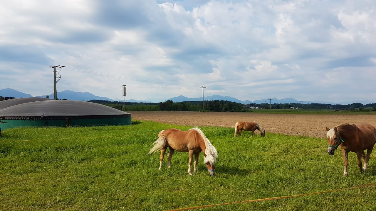 Ausblick Bauernhof Maierhof