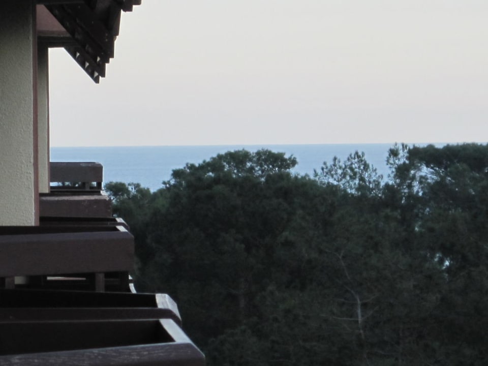 Ausblick vom Zimmerbalkon Balmy Foresta