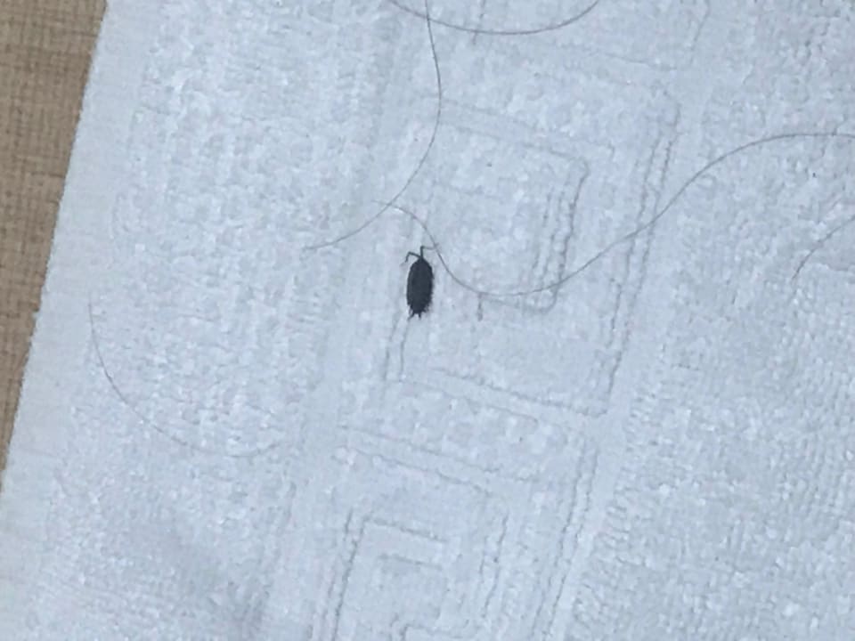 Zimmer Can Garden Beach