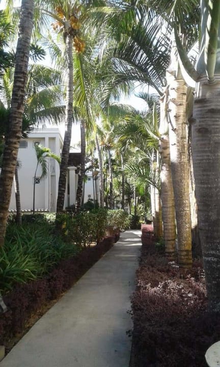 Gartenanlage Lagoon Attitude - Adults only