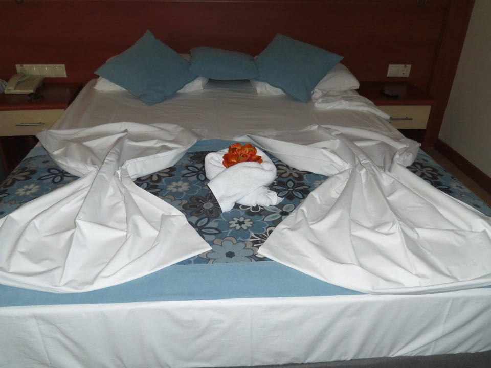 Liebevolle Dekoration Crystal Paraiso Aqua Collection