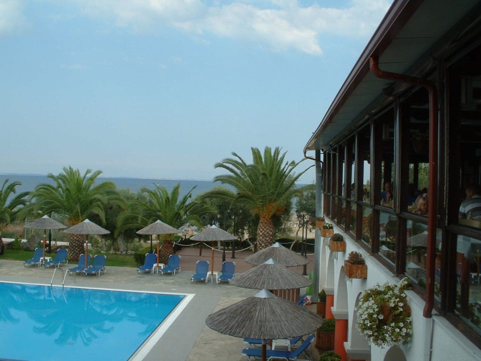 Pool Blue Dolphin Resort Hotel
