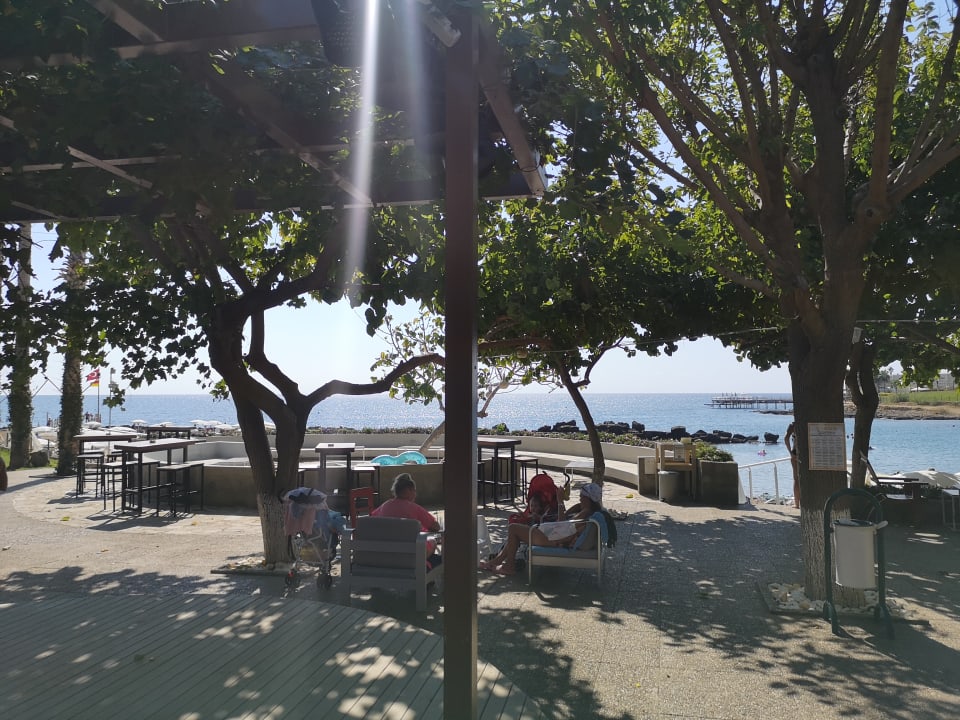 Sonstiges Numa Bay Exclusive Hotel