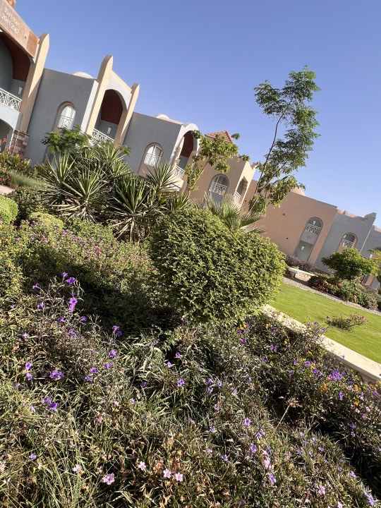 Gartenanlage Lazuli Hotel Marsa Alam