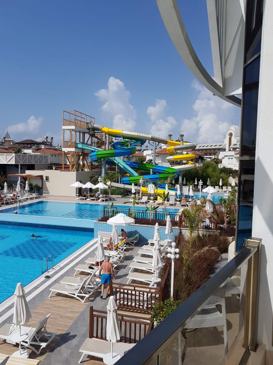 Sport & Freizeit Seashell Vega