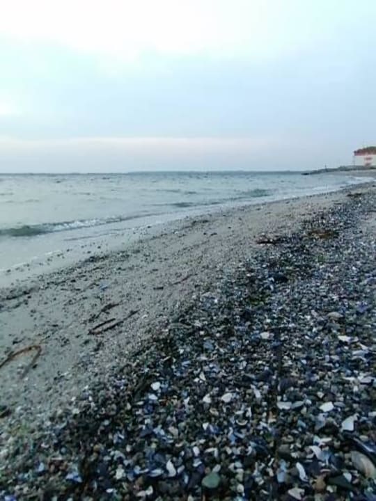 Strand BEECH Resort Boltenhagen