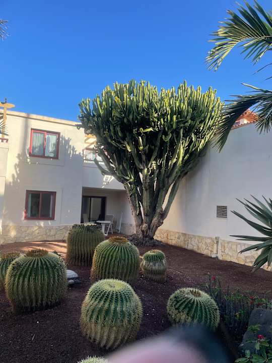 Außenansicht Alua Suites Fuerteventura