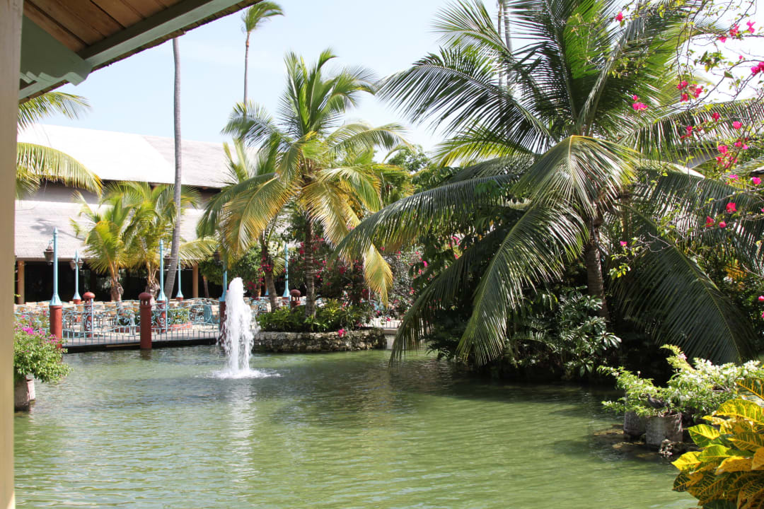 Garten Iberostar Waves Punta Cana