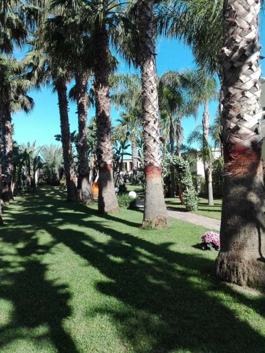 Gartenanlage Park Hotel La Villa