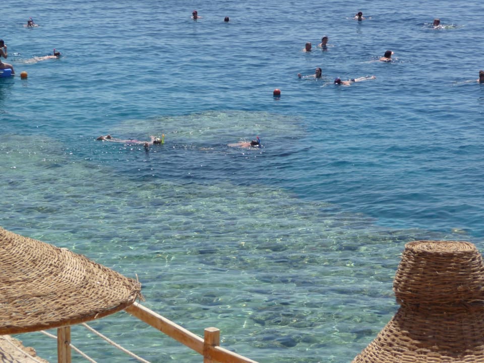 Hotelriff Sharm Plaza