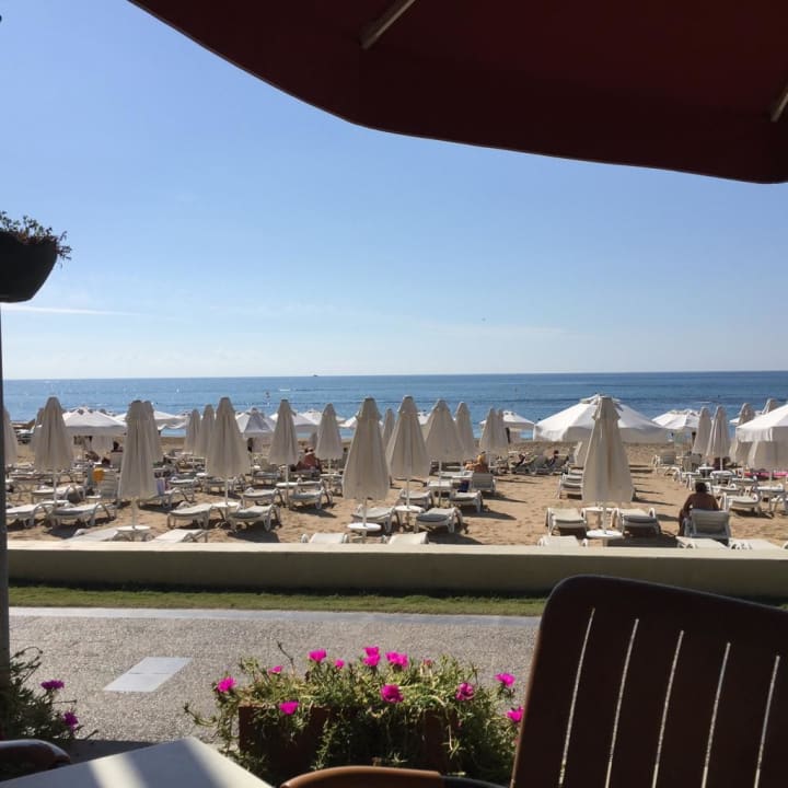 Gastro Arum Barut Collection