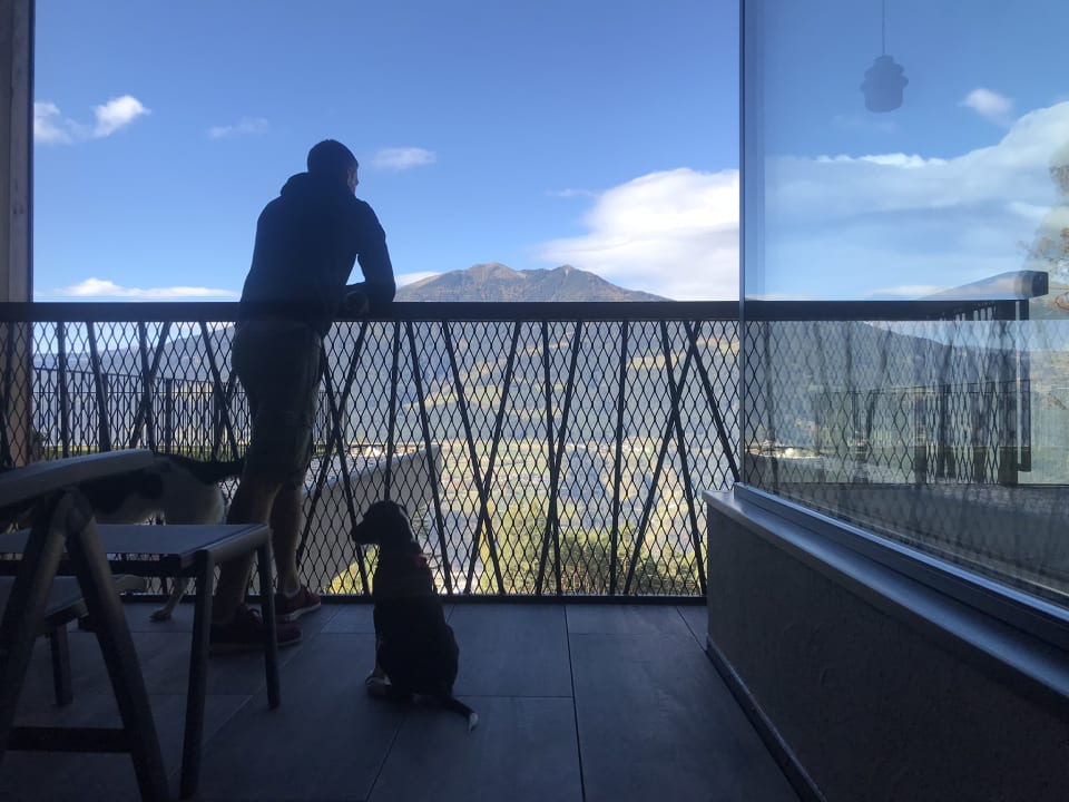 Ausblick My Arbor - Dolomites