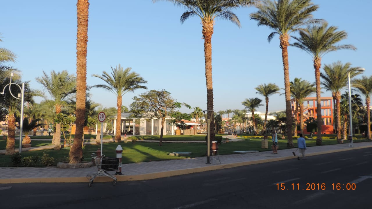 Garten Beach Albatros Resort