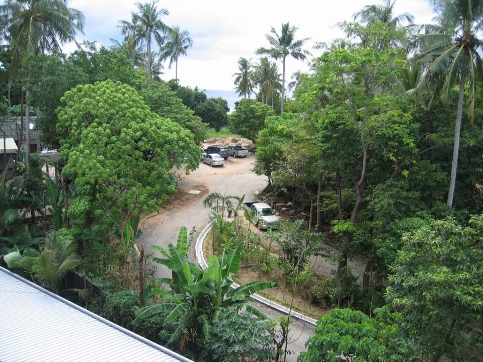 Anfahrt von Hinten Hotel Peach Blossom