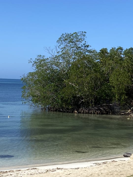 Strand Hotel Riu Negril