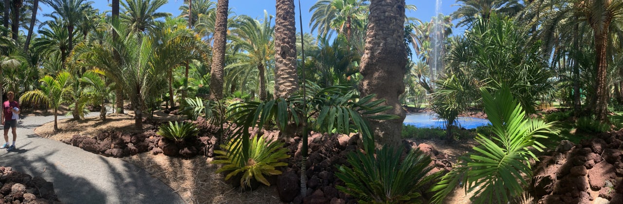 Gartenanlage Hotel Riu Palace Oasis