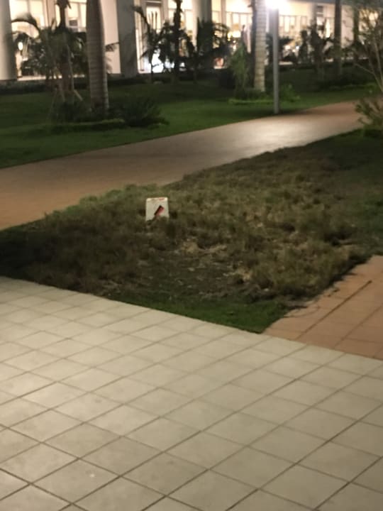 Gartenanlage Hotel Riu Republica - Adults only