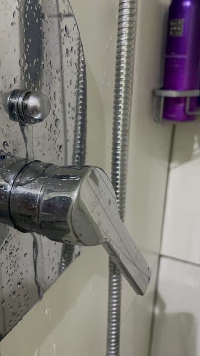 Zimmer AQI Pegasos World