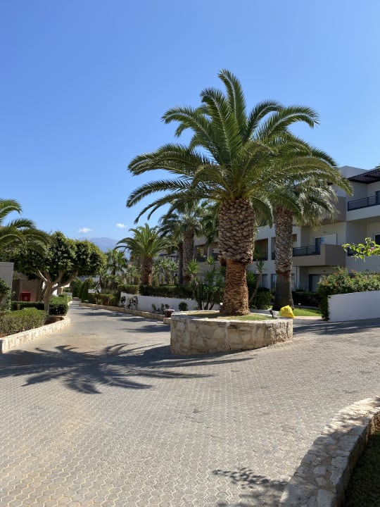 Gartenanlage Grand Hotel Holiday Resort