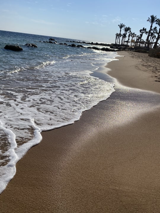 Strand Pickalbatros Citadel Resort