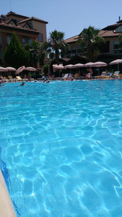 Pool Hotel Orfeus Park