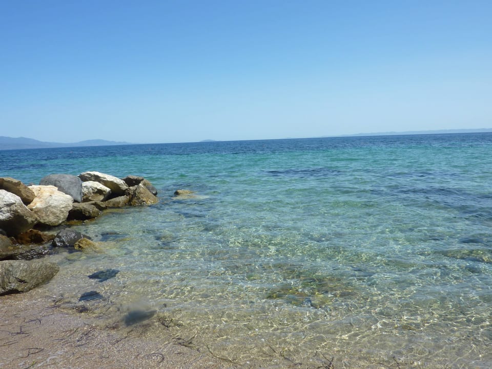 Strand mit Kies und Steinen Blue Dolphin Resort Hotel
