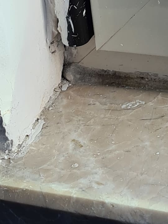 Zimmer Well Palace Side