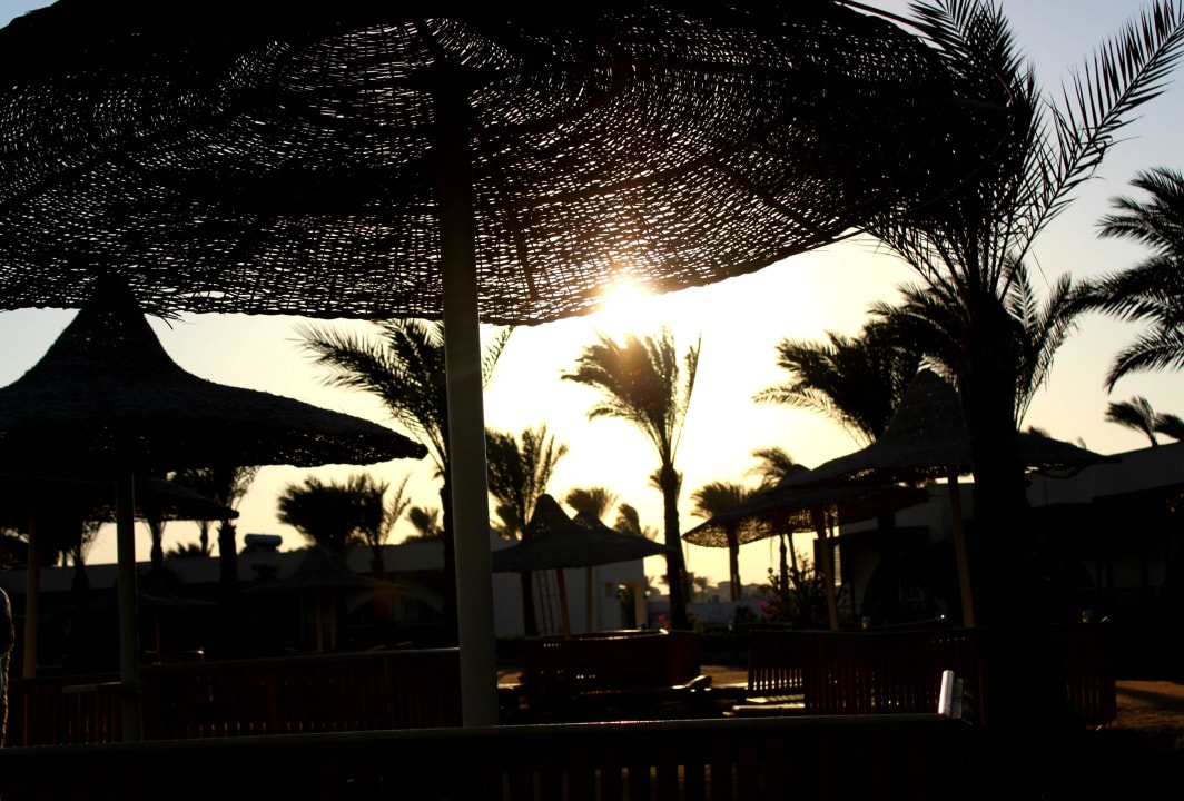 Закат солнца Desert Rose