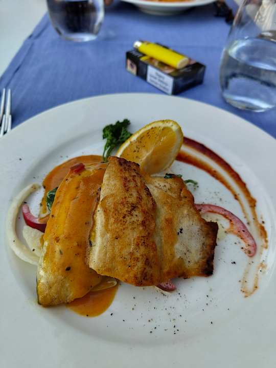 Gastro Seashell Vega