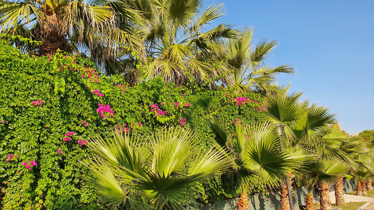 Gartenanlage Belek Beach Resort Hotel