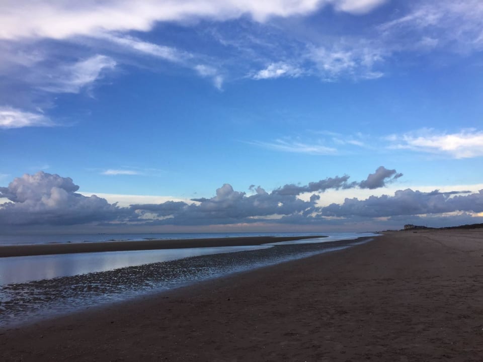 Strand  Center Parcs Park De Haan