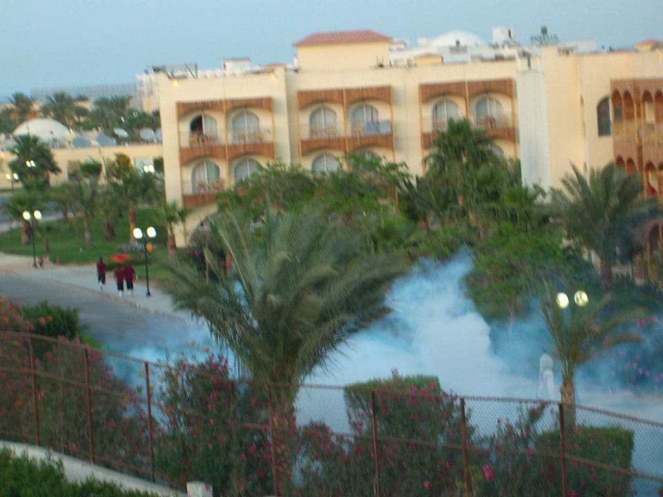Mückenbekämpfung Pickalbatros Dana Beach Resort - Hurghada