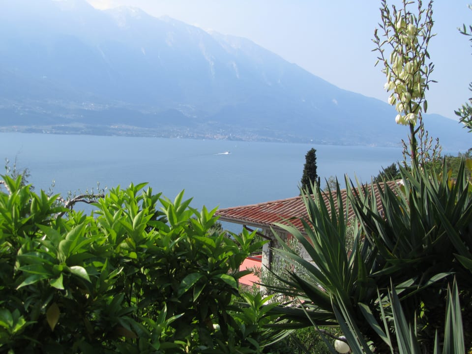 Ausblick auf den See Relax Hotel Villa La Gardenia & Oleandra