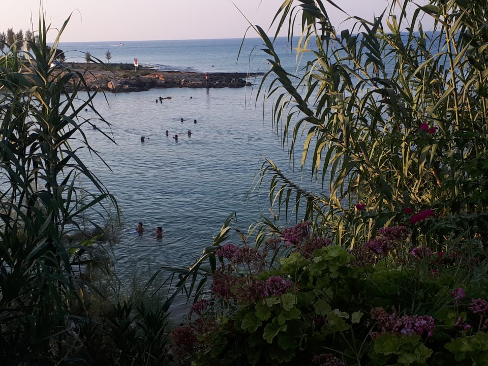 Ausblick Crystal Springs Beach Hotel