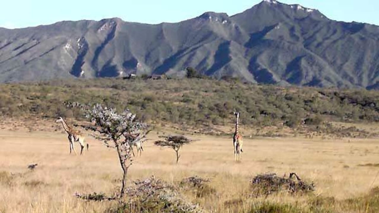 Lodge Hill Mount Longonot Lodge