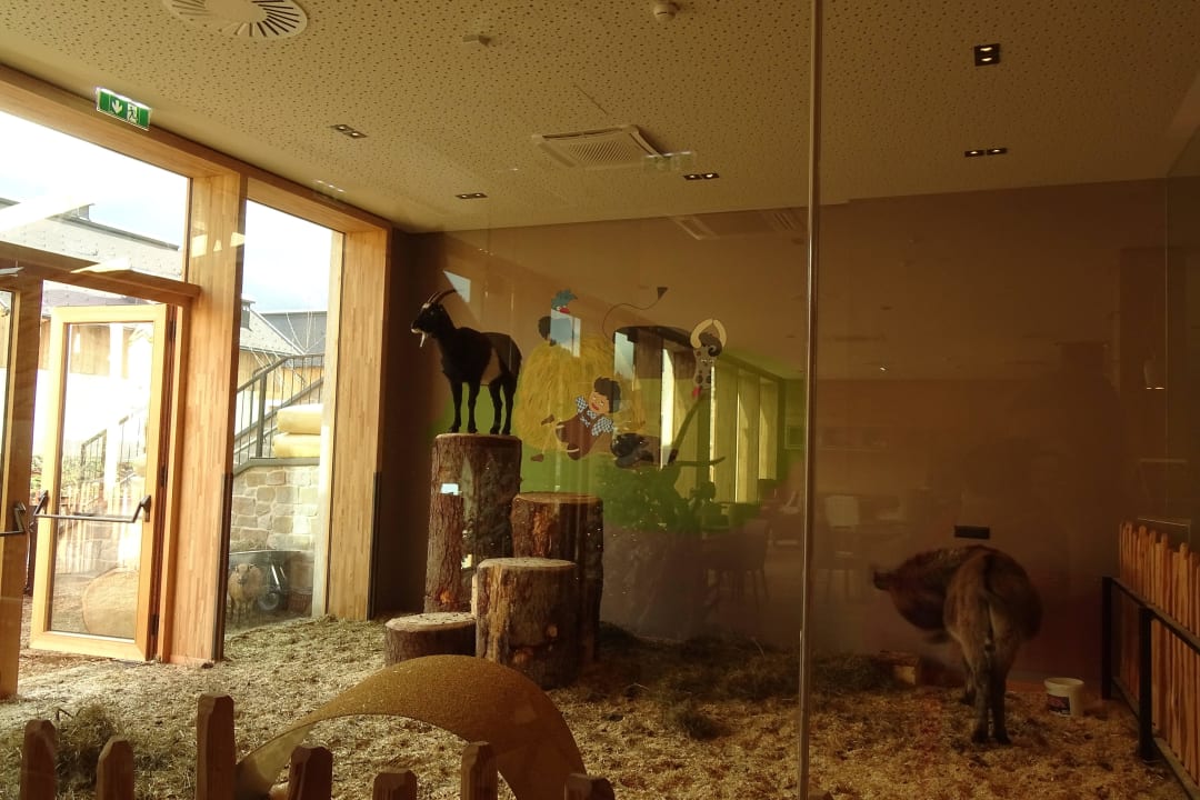 Kinderhotel Dachsteinkönig Dachsteinkönig - Familux Resort