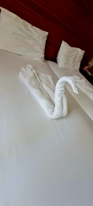Zimmer Trendy Side Beach Hotel - Adults only